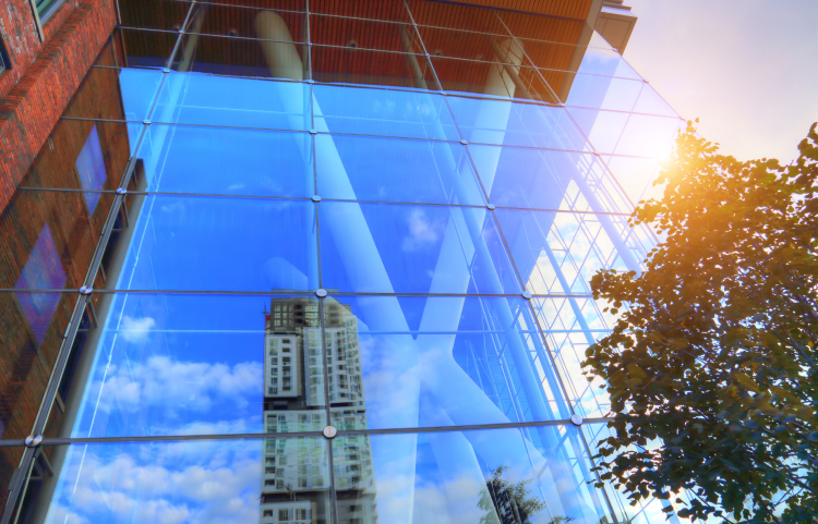 The sun beaming through a glass building and the leaves of a tree